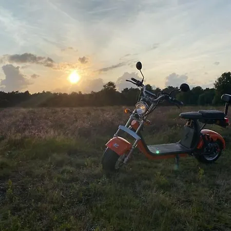 Delightful Luxury 2-bedroom In Nature Holiday home Otterlo