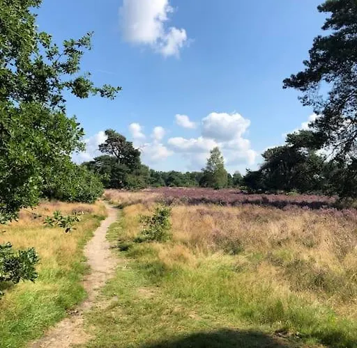 Semesterbostad Delightful Luxury 2-bedroom In Nature Otterlo