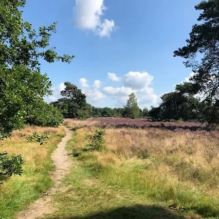 Casa de Férias Delightful Luxury 2-bedroom In Nature Otterlo