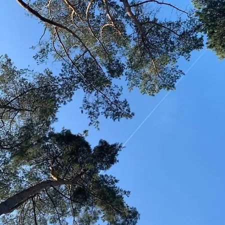 Delightful Luxury 2-bedroom In Nature Casa de Férias